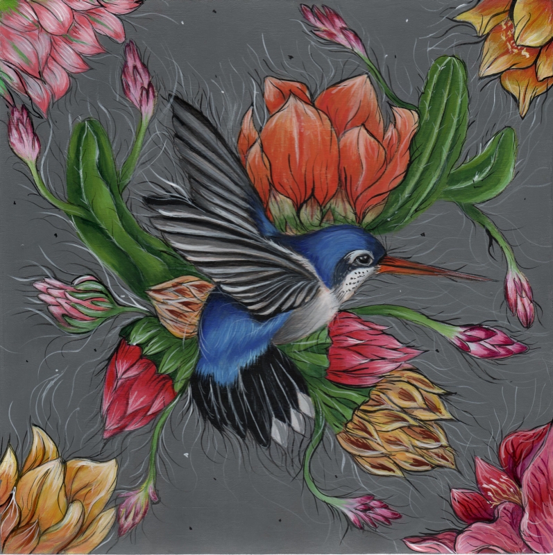 Succulent Hummingbird11.5 in. x 11.5 in. Framed Acrylic on Wood